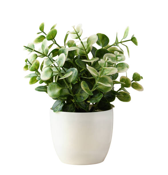 istock Artificial greenery with green and white leaves in a flowerpot isolated on white 1411969878