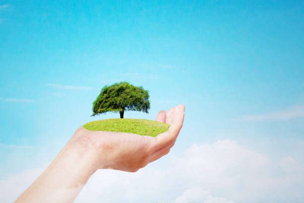 istock Close up of unknown hands holding a green tree 1411970899