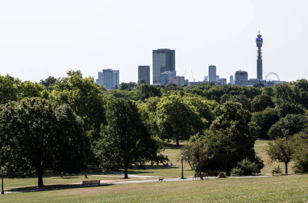 istock Summer View from Primrose Hill to London Skyline 1411971124