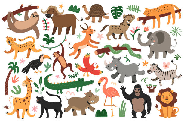 kuvapankkikuvitukset aiheesta viidakkoeläimet sotkevat, trooppinen leopardi, kissat, tanssiva kirahvi ja seepra, nukkuva jaguaari, vektorikuvitussarja, söpöjä hahmoja lapsille - gorilla