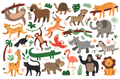 Jungle animals bungle, tropical felines set, dancing giraffe and zebra, sleeping jaguar, toucan and macaw parrot flying in rainforest, isolated vector illustrations, cute characters for children