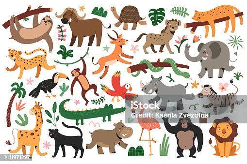 istock Jungle animals bungle, tropical leopard, felines, dancing giraffe and zebra, sleeping jaguar, set of vector illustrations, cute characters for children 1411971297