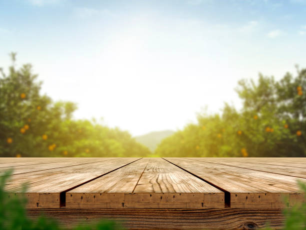 istock Empty wooden table with more space than orange trees, orange field background for product display montage 1411972284
