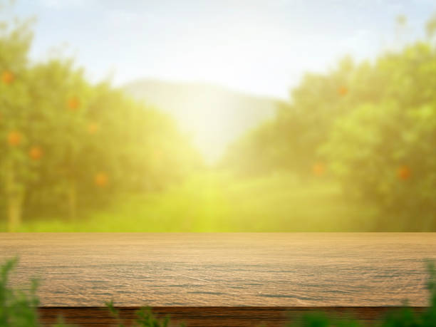 istock Empty wooden table with more space than orange trees, orange field background for product display montage 1411972286