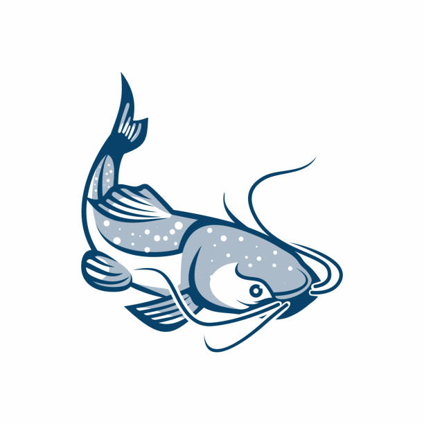 ilustrações, clipart, desenhos animados e ícones de ilustração vetorial de design de modelo de logotipo catfish - cat fish food