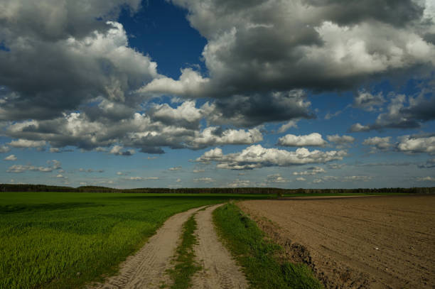 Dirt road under the blue sky