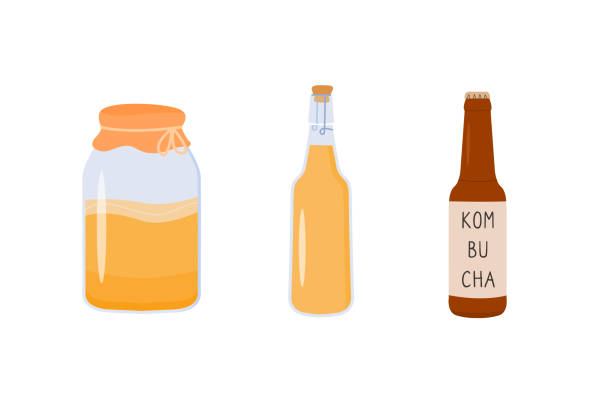 Kombucha fermented probiotic homemade drink. Tea mushroom brewing in mason jar. Glass bottle with healthy tea fungus drink. Flat vector illustrations isolated on white background. Kombucha fermented probiotic homemade drink. Tea mushroom brewing in mason jar. Glass bottle with healthy tea fungus drink. Flat vector illustrations isolated on white background kombucha jar stock illustrations