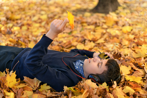 a teenage boy listens to music with headphones, lies on yellow autumn maple leaves, a bright sunny day, beautiful nature in autumn