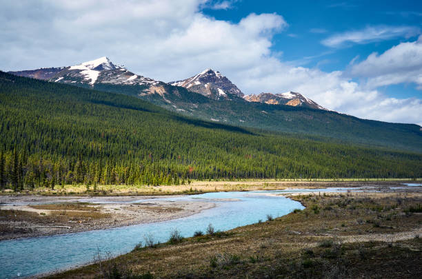 istock Beautiful mountain landscape. Sunwapta river. Icefields Parkway - highway between Banff and Jasper. Canadian Rockies. Jasper National Park. Alberta. Canada 1411981304