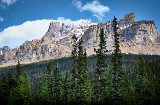 bellissimo paesaggio montano. montagne rocciose canadesi. attraversamento del fiume saskatchewan. parco nazionale di banff. icefield parkway. alberta. canada - saskatchewan highway road trip scenics foto e immagini stock