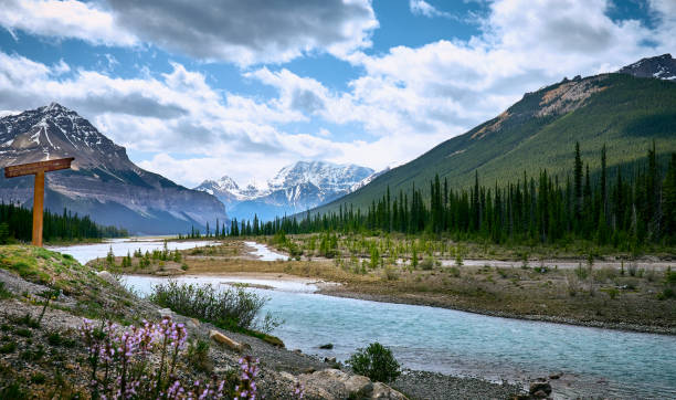 istock Beautiful mountain landscape. Icefields Parkway - highway between Banff and Jasper. Sunwapta river. Canadian Rockies. Jasper National Park. Alberta. Canada 1411981382
