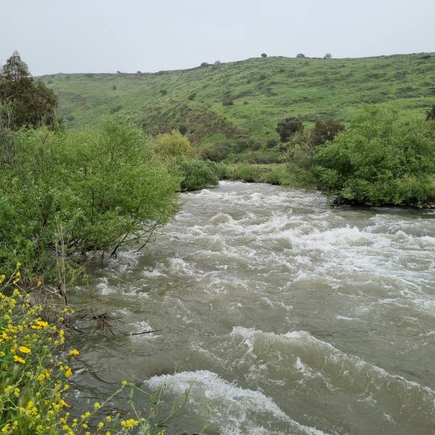 jordan fließt im frühling in grüner israelischer landschaft, golanhöhen - conutryside stock-fotos und bilder