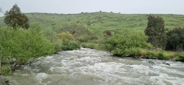 봄철 녹색 이스라엘 시골에 흐르는 요르단 강, 골란 하이츠 - conutryside 뉴스 사진 이미지