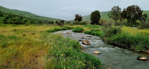 春に緑のイスラエルの田園地帯を流れるヨルダン川、ゴラン高原 - conutryside ストックフォトと画像