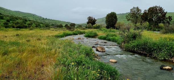 jordan river flowing in green israeli countryside during springtime, golan heights - conutryside imagens e fotografias de stock