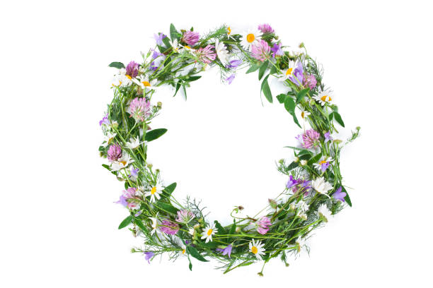 istock Beautiful wreath with colorful flowers 1411985677