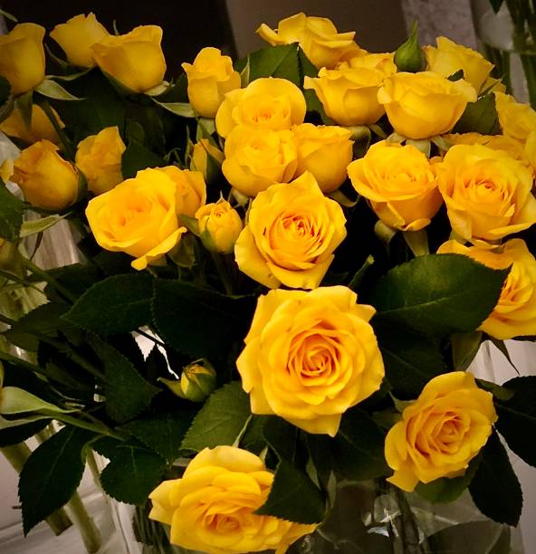 istock Gorgeous Yellow Roses 1411987898
