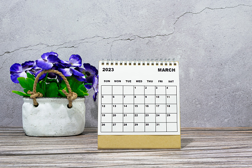 March 2023 desk calendar on wooden desk with potted plant. Copy space.
