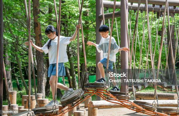 Asian Elementary School Students Playing In Nature During Summer Vacation Stockfoto en meer beelden van Kind