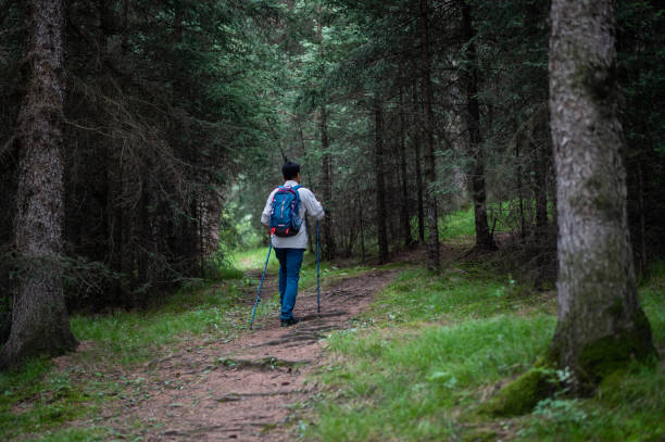 istock Asian middle-aged man with backpack hiking on the path in the forest 1411991438
