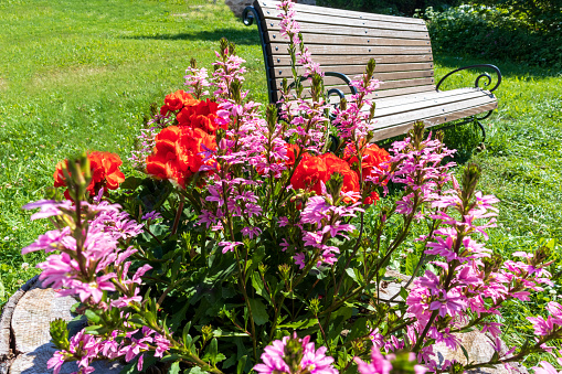 a park with a bouquet of colorful flowers and a bench on green grass