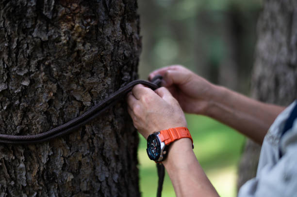 Asian middle-aged man bundles hammock on tree trunk in forest