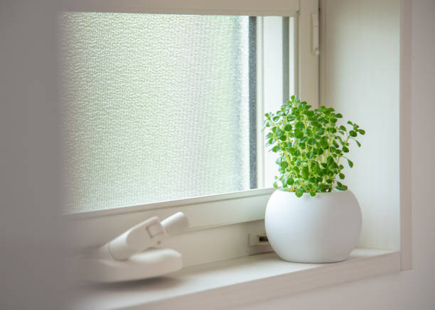 istock houseplants by the window 1411992423