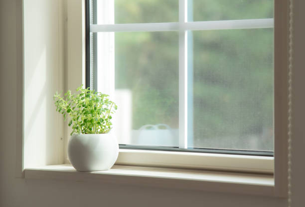 istock houseplants by the window 1411992439
