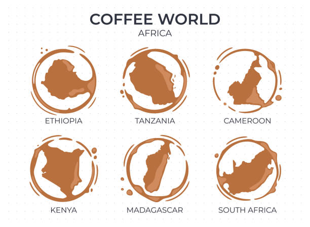 Collection of coffee cup round stains shaped like a coffee origin countries, producers and exporters from Africa. Vector drops and splashes on white. Collection of coffee cup round stains shaped like a coffee origin countries, producers and exporters from Africa. Vector drops and splashes on white. exporters stock illustrations