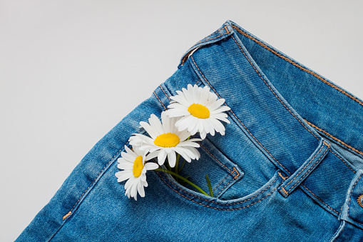 Blue jeans with daisy flowers in the pocket on light background with copy space. Concept of summer and summer fashion