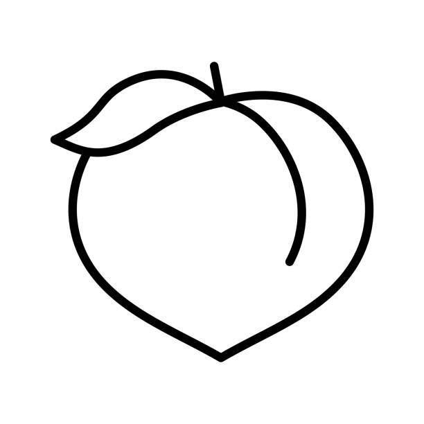 ilustraciones, imágenes clip art, dibujos animados e iconos de stock de icono de contorno de melocotón. pictograma aislado sobre fondo blanco. - nectarine peaches peach abstract
