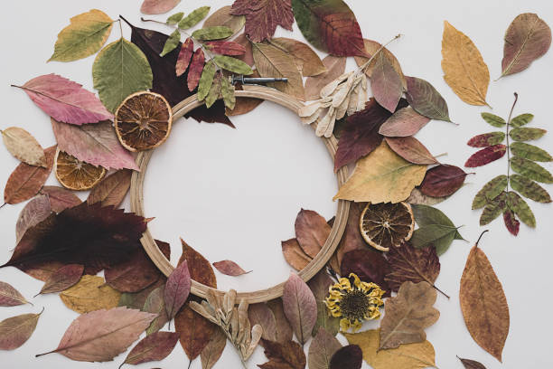 istock Embroidery hoop with dried autumn coloured leaves. Fall background. 1412006353
