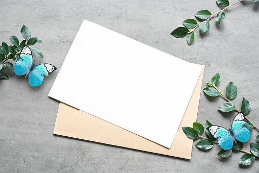 Mock up card with plants and blue butterfly. Invitation card with envelope on white background