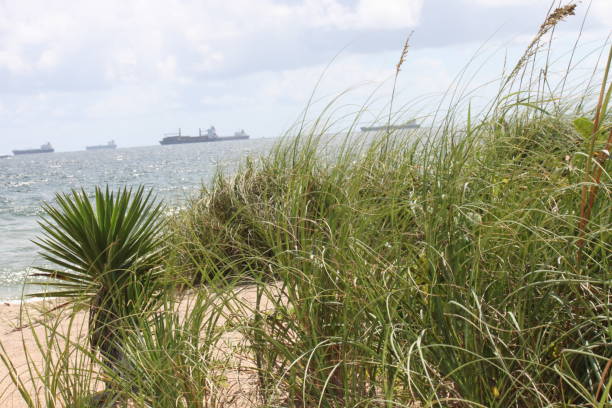 istock Fort Lauderdale Beach, Florida 1412008031