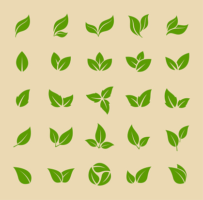 Leaves Icon - Vector Stock Illustration. Leaf Shapes Collection