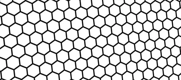 Vector illustration of Honeycomb bee technology background