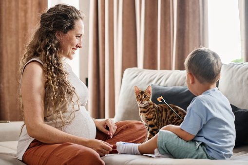 Happy young pregnant woman looking at her cute little son playing with pet cat of bengal breed while relaxing on couch in living room