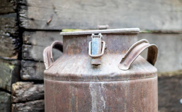 istock One old rusty metal can in the countryside. Container for transporting liquids, milk or liquid fuels with multiple handles. Milk bank of a cylindrical form with a wide mouth. Bottle with sealed cap. 1412023540