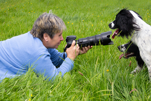 to close for comfort-photographer finds that her models are a little too close as her two spaniel dogs sit looking at her as she lies in the grass preparing her shot .