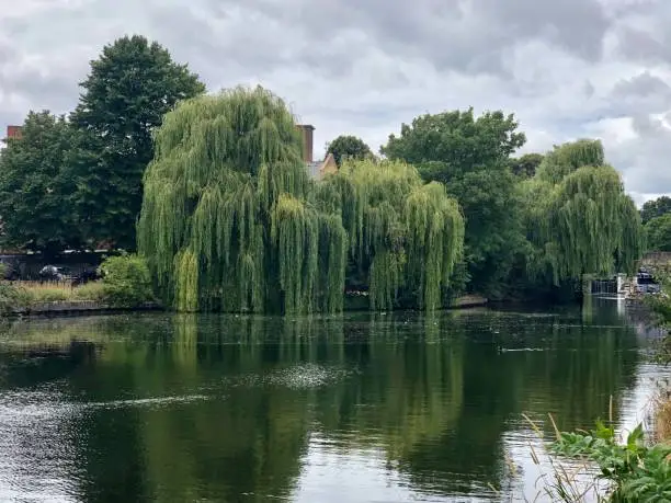 Photo of Regent’s Canal