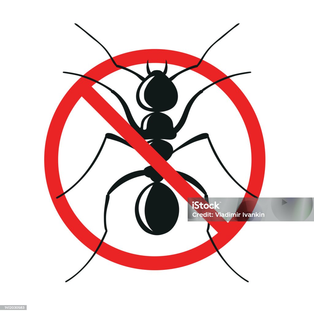 Alert Ant Warning Ant Sign Vector Illustration Stock Illustration - Download ...