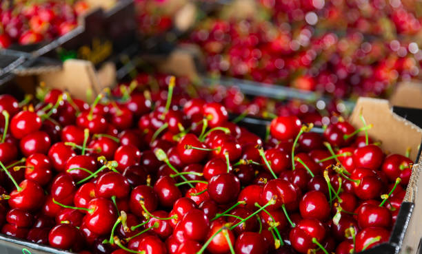 istock Photo of fresh cherries 1412034244