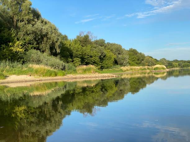 il fiume vistola in polonia - fiume vistola foto e immagini stock