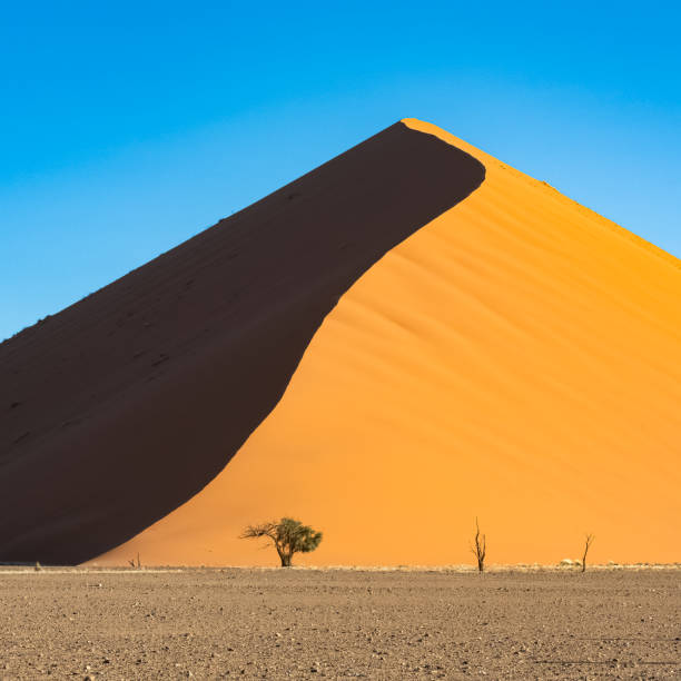 istock Namibia, the Namib desert, red dunes 1412036490