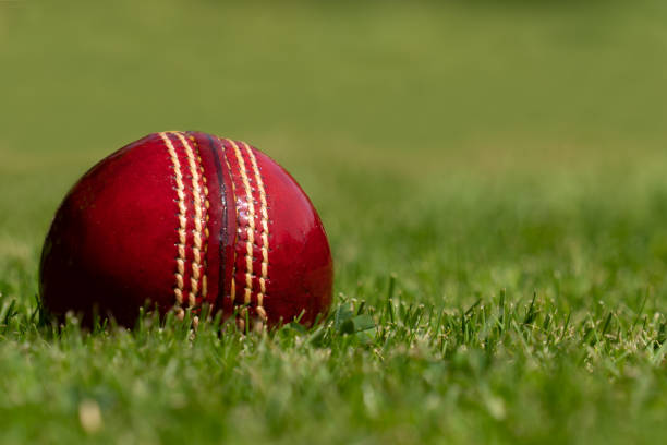 istock red cricket ball on grass shot from ground level - blurred background 1412036648