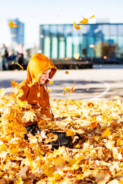 istock Boy throwing up yellow maple leaves 1412039713