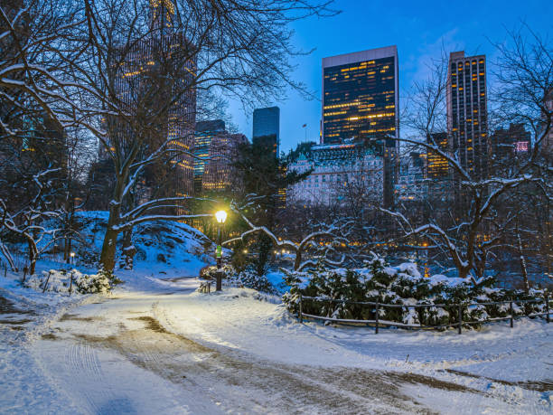 istock Central Park in winter  at sunrise after snow 1412042706