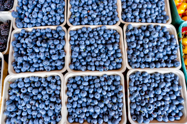 Blueberries on display at a farmer's market in Alberta