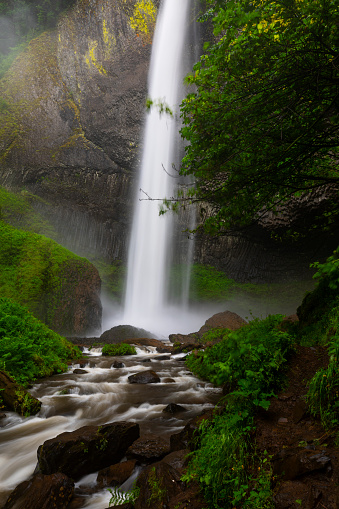 Latourell Falls in the Columbia River Gorge, Oregon.