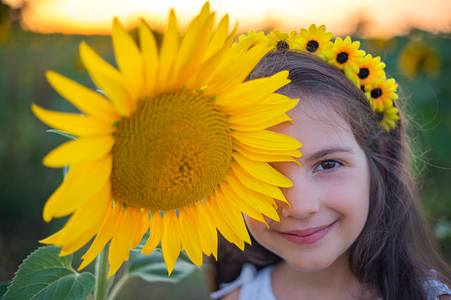 Girl and sunflowers in sunflower field during sunset. Agriculture, farming, childhood and carefree concept.